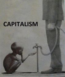 536332.jpg